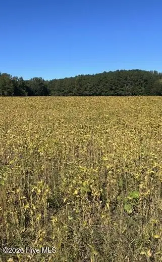 000 Nash County Line Road, Castalia, NC 27816 - #1