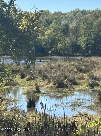 000 Nash County Line Road, Castalia, NC 27816 - #3