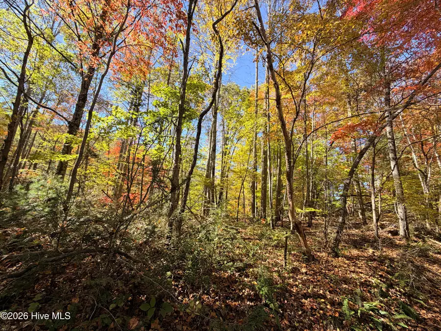Lot# 6 Rhododendron Drive Drive, Topton, NC 28781 - #3