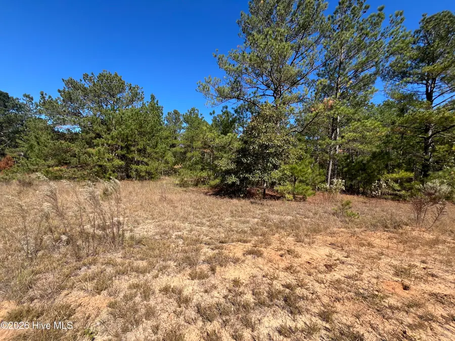 Lot 9 Jasper Davis Road, Avera, GA 30803 - #3