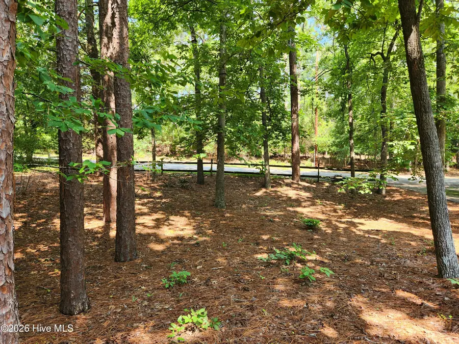 665 N Hale Street, Southern Pines, NC 28387 - #3