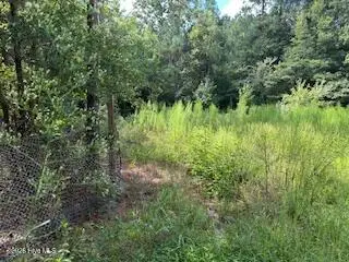 0 Old Chapell Ferry Road, Edgefield, SC 29824 - #1