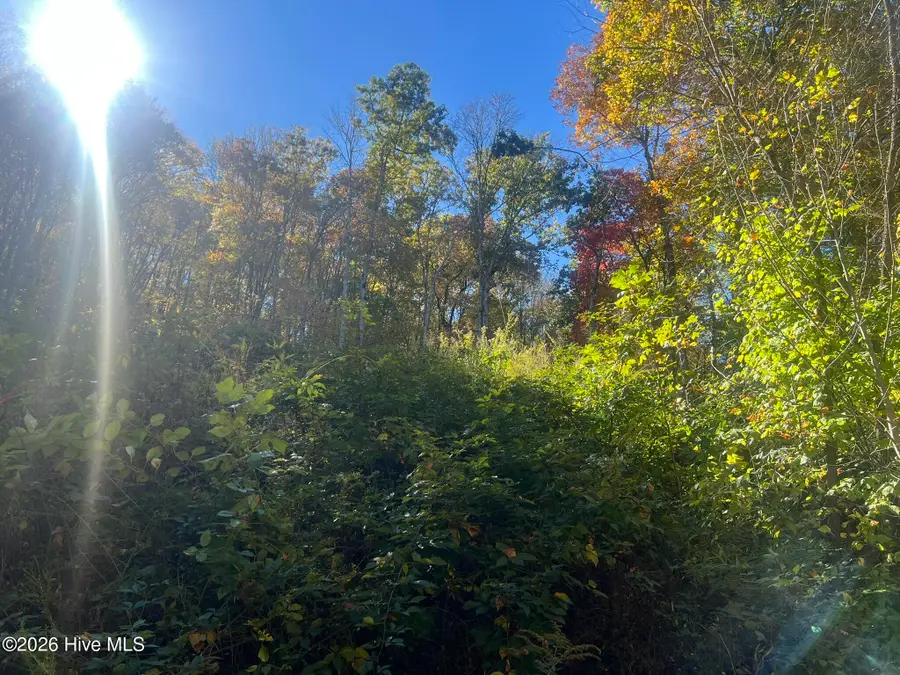 Lot 4 Old Faber Road, Topton, NC 28781 - #2