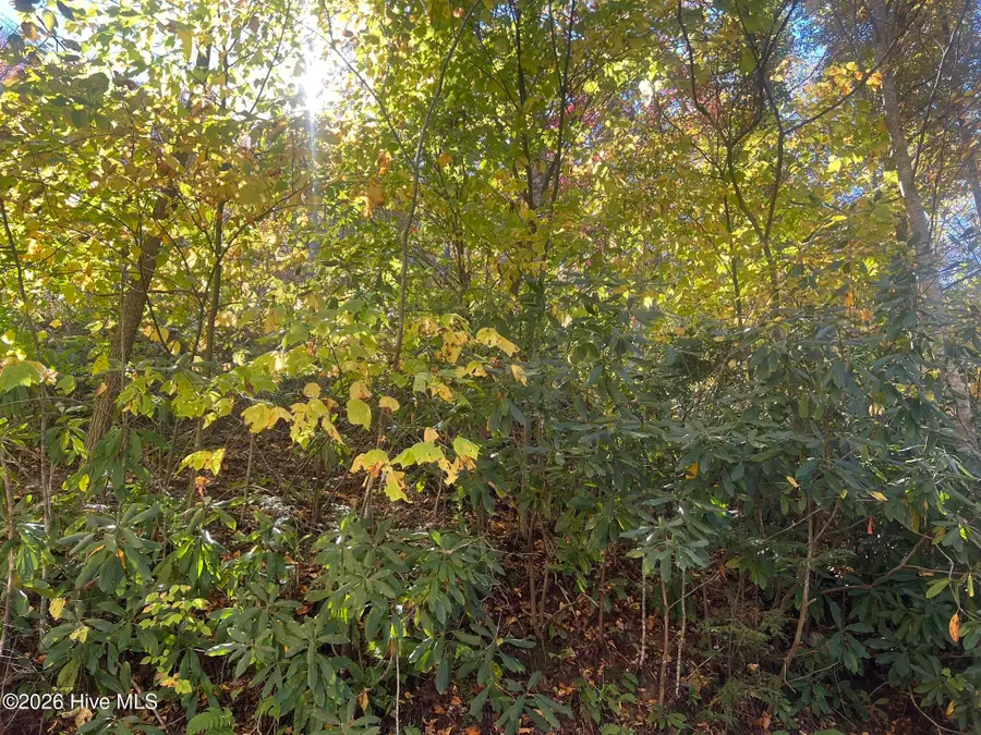 Lot 4 Old Faber Road, Topton, NC 28781 - #3