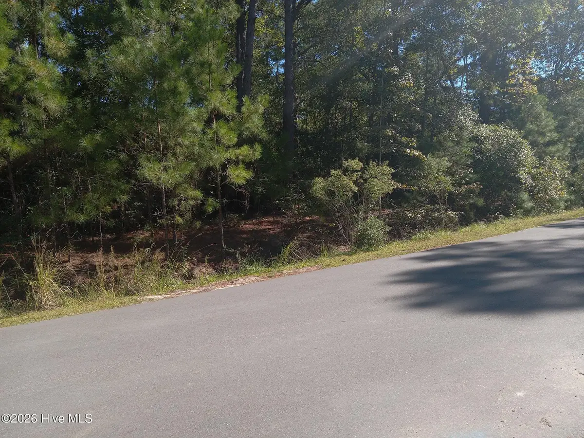 600 Boundaryline Drive Nw, Calabash, NC 28467 - #1