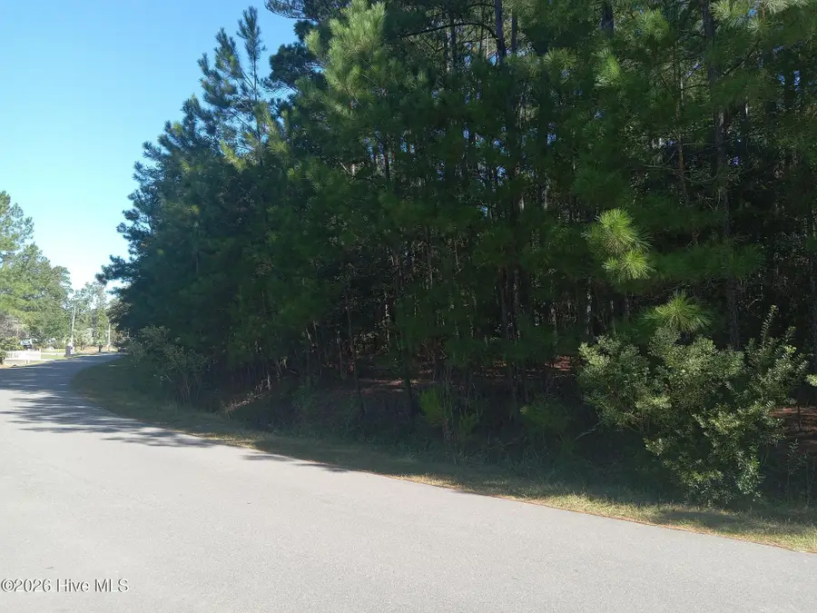 600 Boundaryline Drive Nw, Calabash, NC 28467 - #2