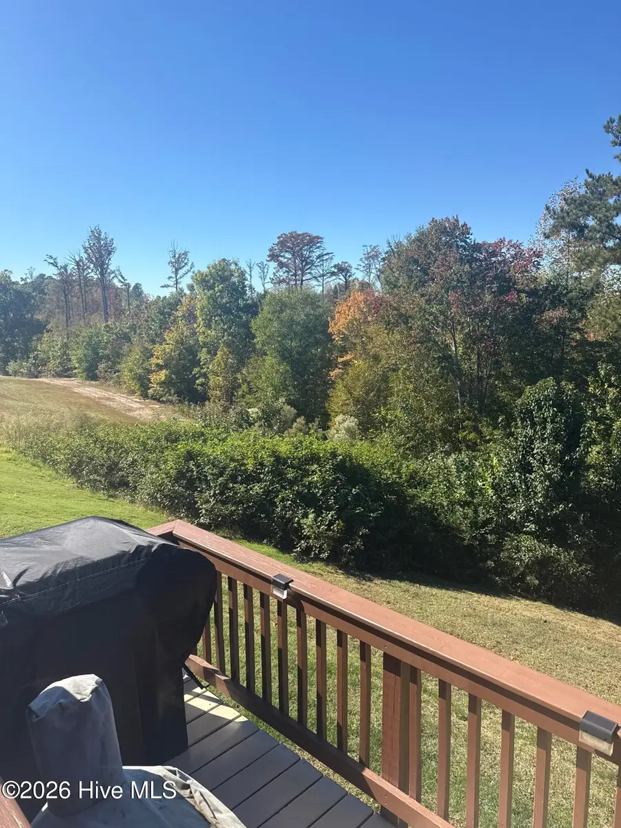 6617 Osprey Landing Drive, Wendell, NC 27591 - #3