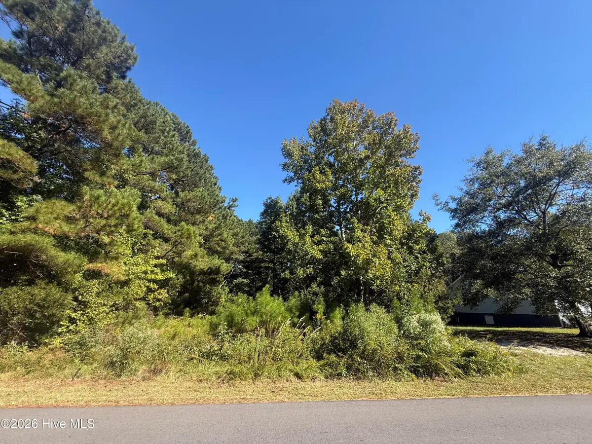 106 Pine Needle Drive, Hubert, NC 28539 - #1