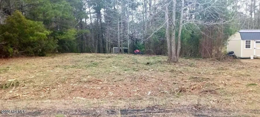 106 Pine Needle Drive, Hubert, NC 28539 - #2
