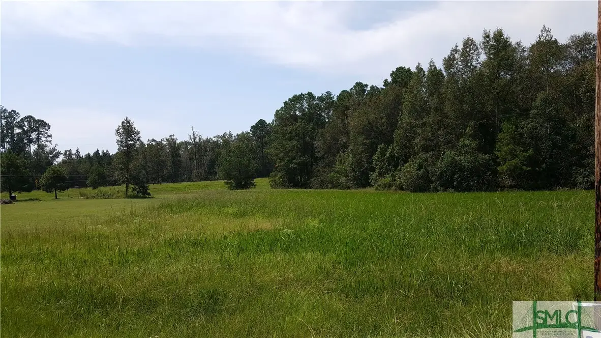 lot 1 Frazier Drive, Riceboro, GA 31323 - Image #1