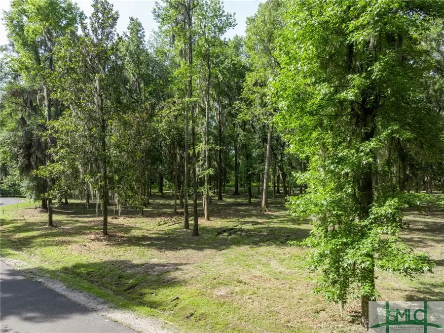 430 Mcallister Landing, Richmond Hill, GA 31324 - Image #3