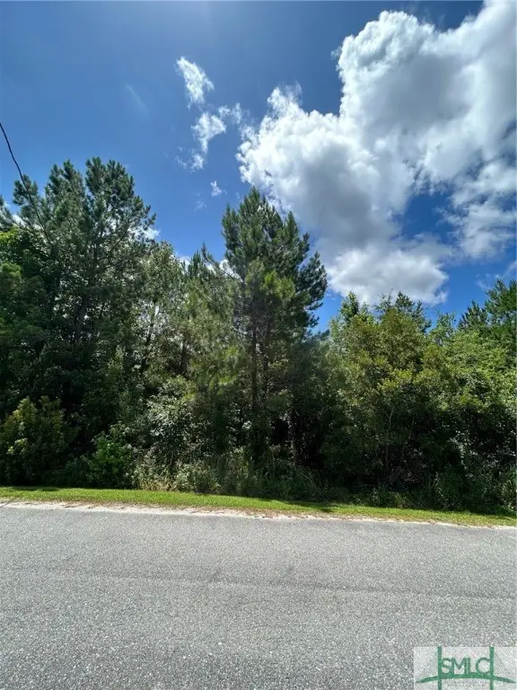 Lot 18 Main Trail, Midway, GA 31320 - #1