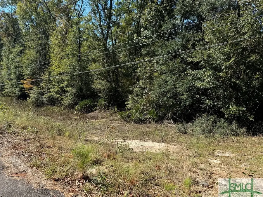 260 Old Highway 204 Road, Bloomingdale, GA 31302 - Image #3