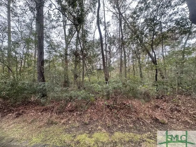 66 Bull Point Drive, Seabrook, SC 29940 - Image #1