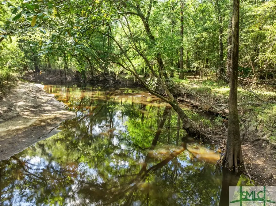 628 Riverside Drive, Claxton, GA 30417 - #3