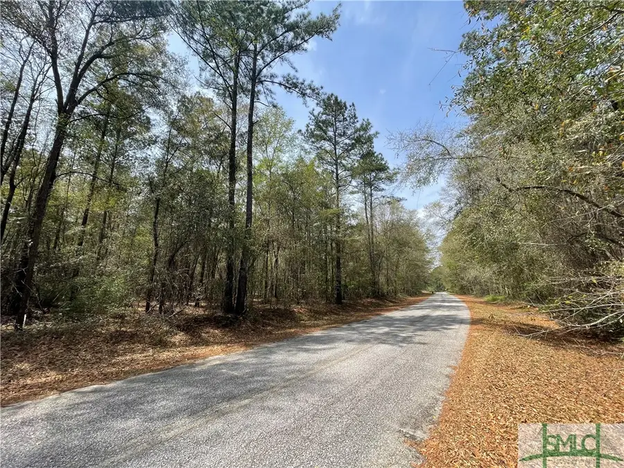 0 Pleasant Acres Road, Springfield, GA 31329 - Image #2