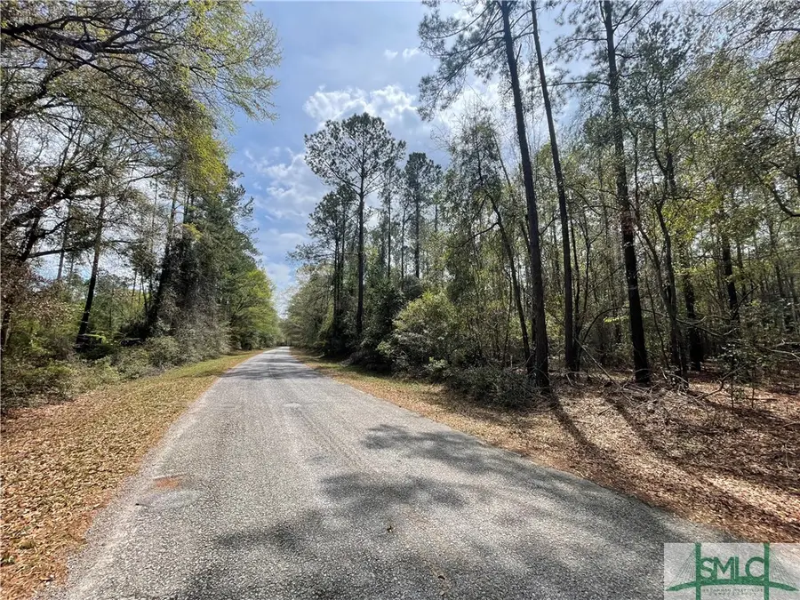0 Pleasant Acres Road, Springfield, GA 31329 - Image #3