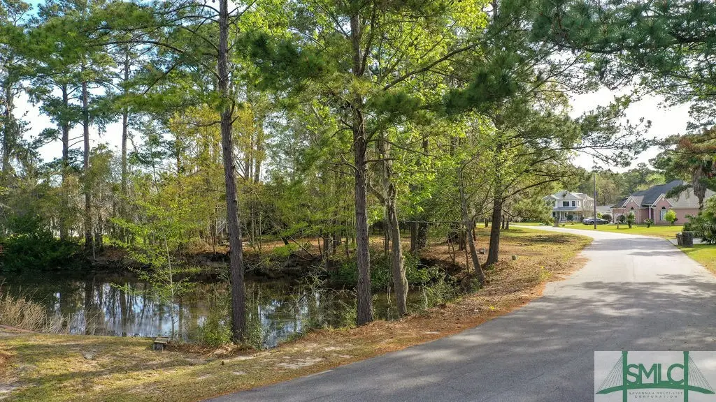 317 Lakeshore Drive, Savannah, GA 31419 - Image #1