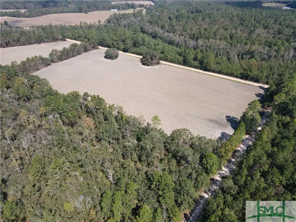 0 Floyd Road #Lot 7, Pembroke, GA 31321 - Image #1