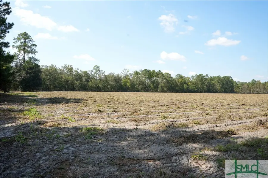 0 Floyd Road #Lot 7, Pembroke, GA 31321 - Image #2