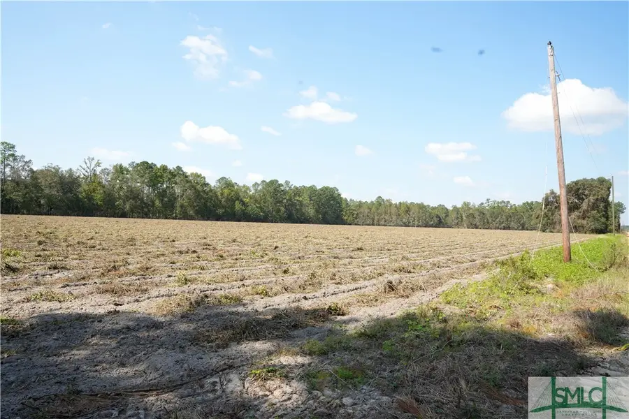 0 Floyd Road #Lot 7, Pembroke, GA 31321 - Image #3