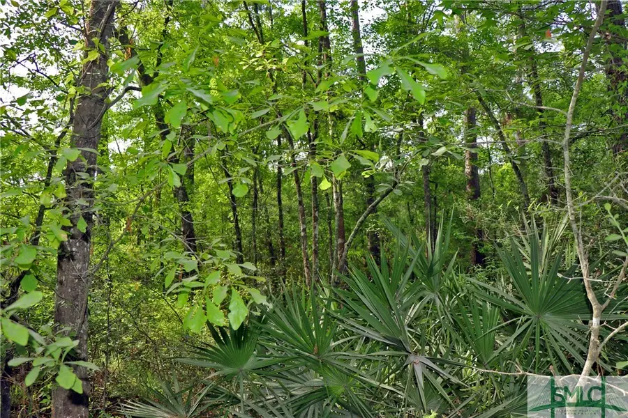 168 Middle Landing Road, Bloomingdale, GA 31302 - Image #3