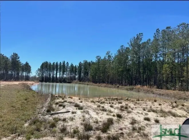 1 Rye Patch Ne Road, Ludowici, GA 31316 - Image #2