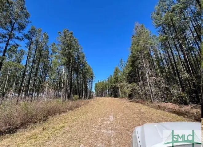 1 Rye Patch Ne Road, Ludowici, GA 31316 - Image #3
