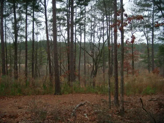 171 Lady Banks Road, Aiken, SC 29803 - Image #2