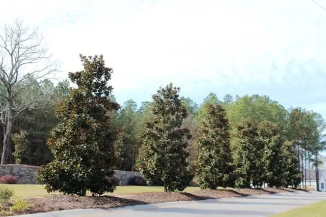 1229 Yost Drive, Appling, GA 30802 - Image #3