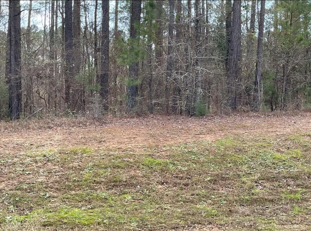 LOT N-63 Eutaw Spring Trail, North Augusta, SC 29860 - Image #1