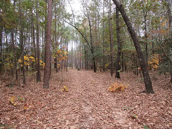 0 Twin Pines Rd., Keysville, GA 30816