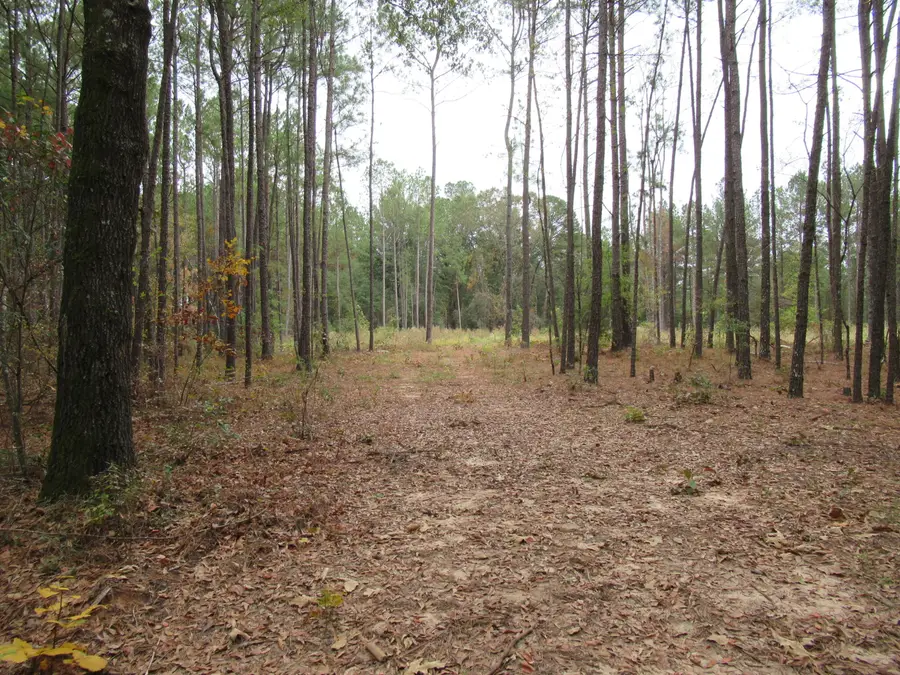 0 Twin Pines Rd., Keysville, GA 30816 - Image #2