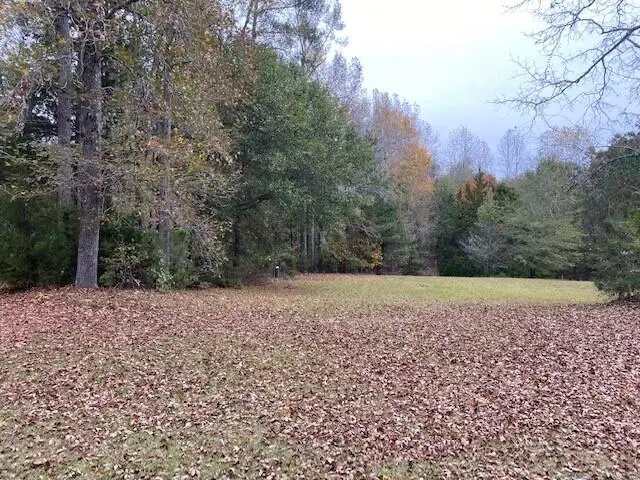 6384 Cobbham Road, Appling, GA 30802 - Image #2