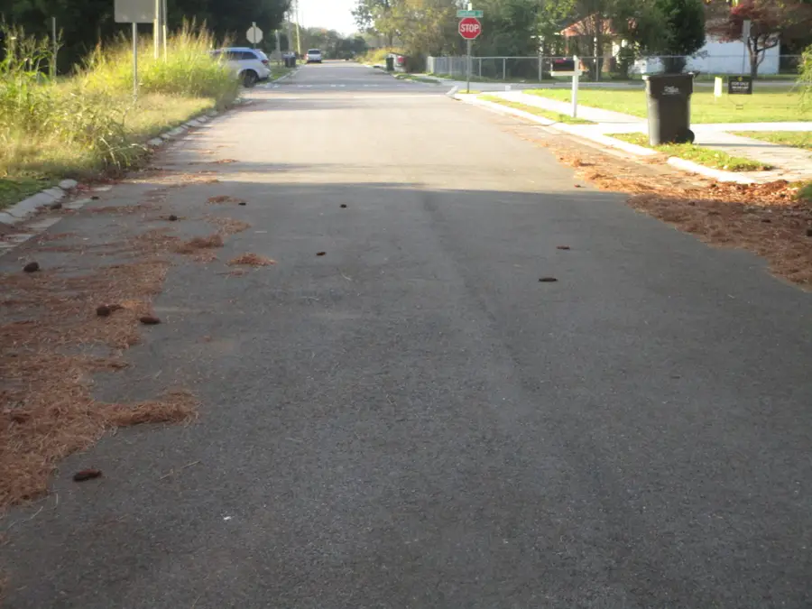 503 Dupont Street, Augusta, GA 30901 - #2