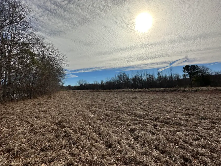 383 Rivers Run, Waynesboro, GA 30830 - Image #3