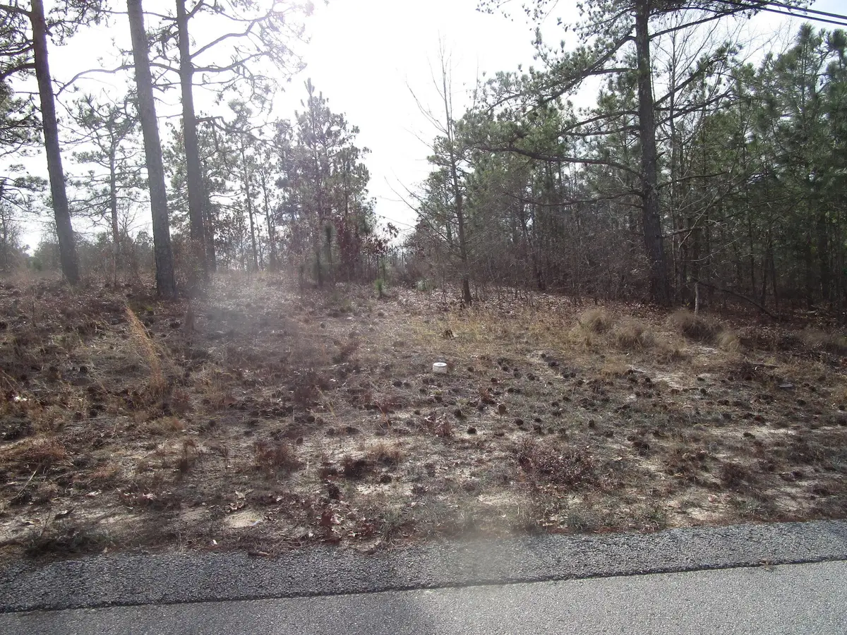 3024 Thornhill Drive, Hephzibah, GA 30815 - #1