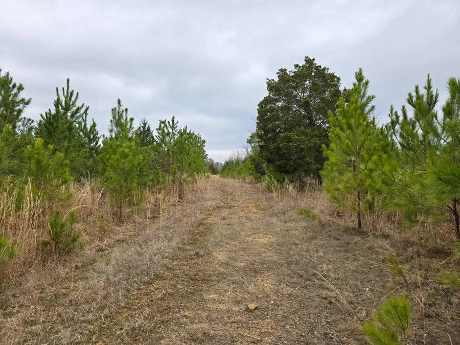 0 Elberton Hwy, Lincolnton, GA 30817 - Image #2