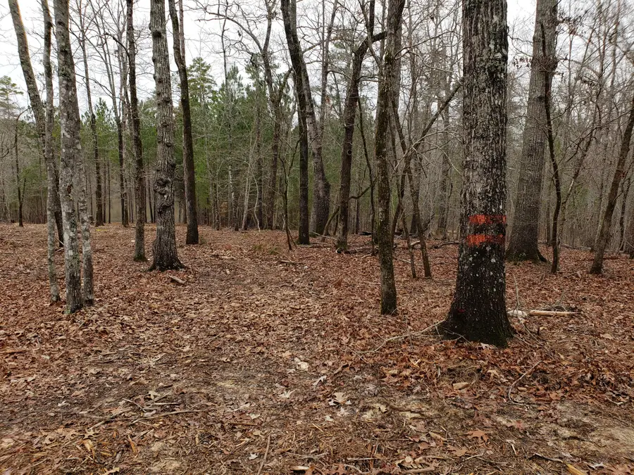 1102 Dogwood Drive, Lincolnton, GA 30817 - Image #3