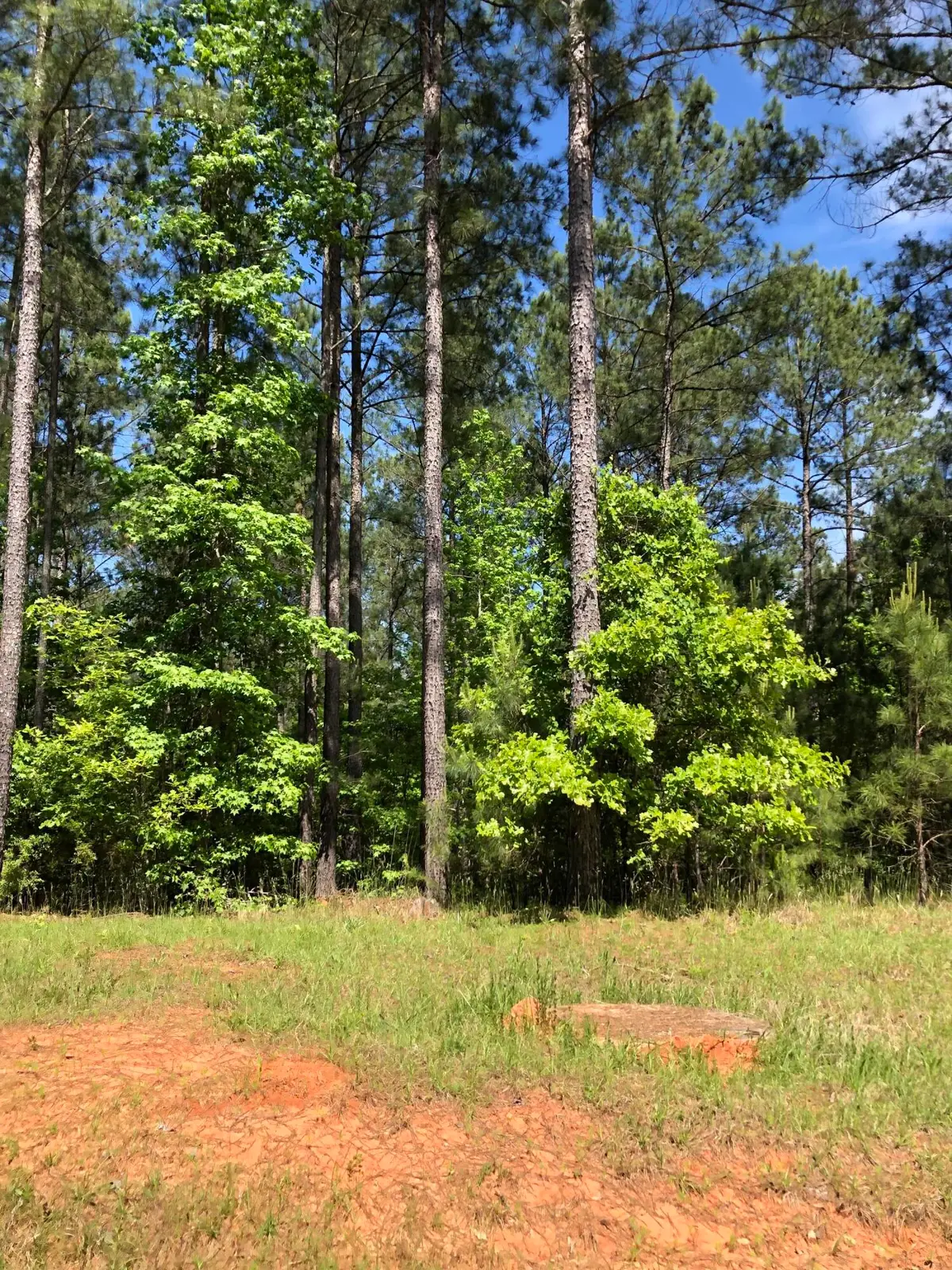 LOT 3 C Lighthouse Pointe, Lincolnton, GA 30817 - Image #1