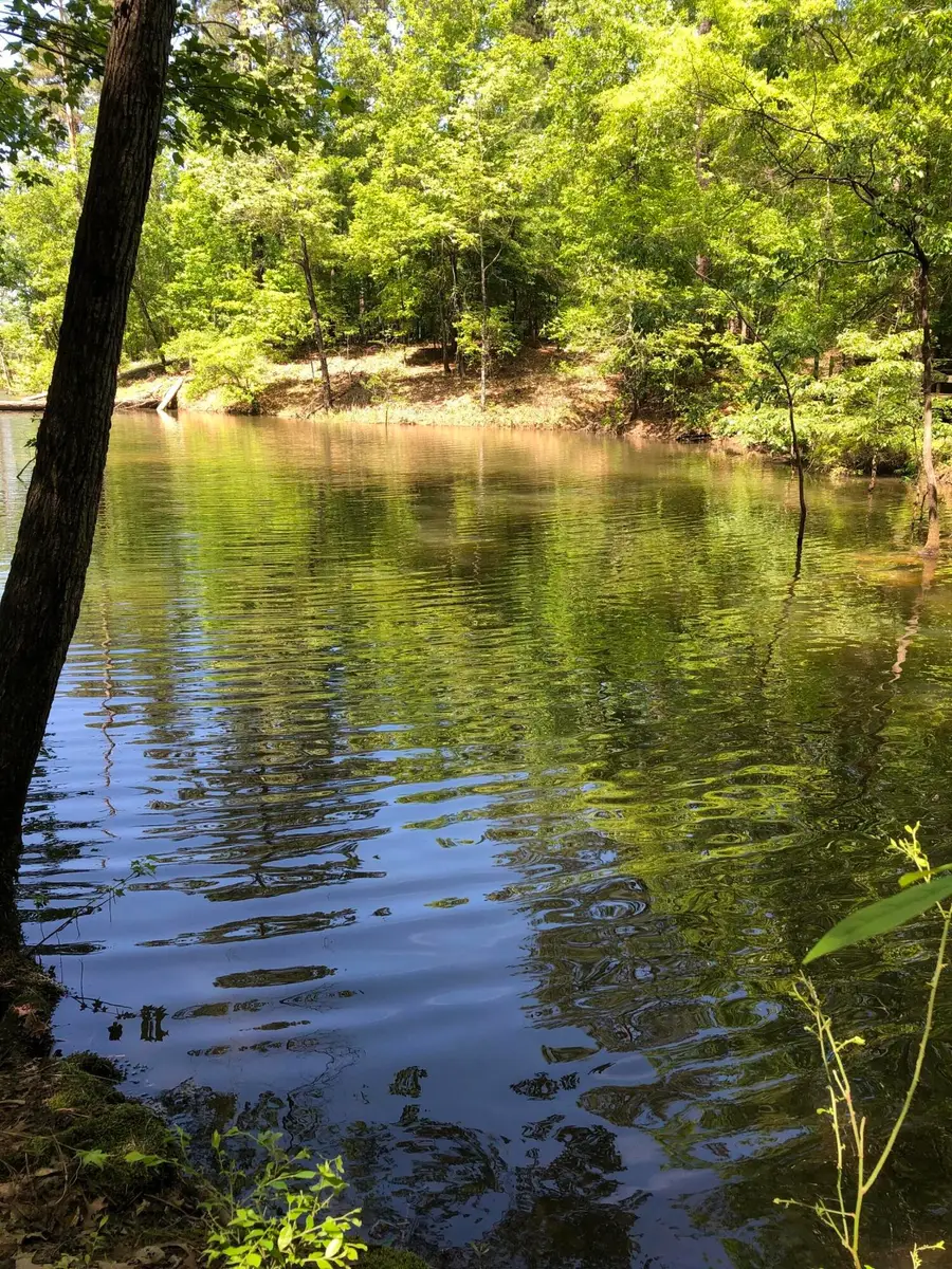 LOT 3 C Lighthouse Pointe, Lincolnton, GA 30817 - Image #2