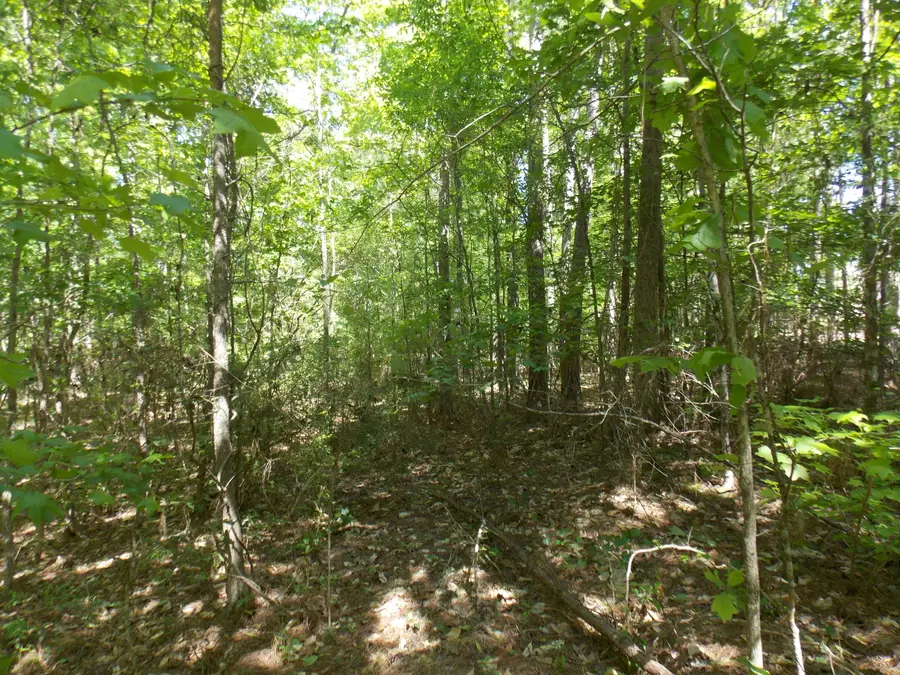 12 Doe Run, Lincolnton, GA 30817 - Image #2