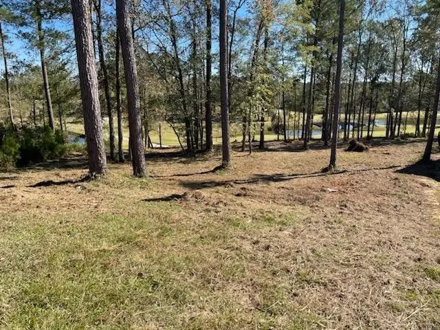 LOT M-46 Mary Johnson's Court, North Augusta, SC 29860 - Image #2