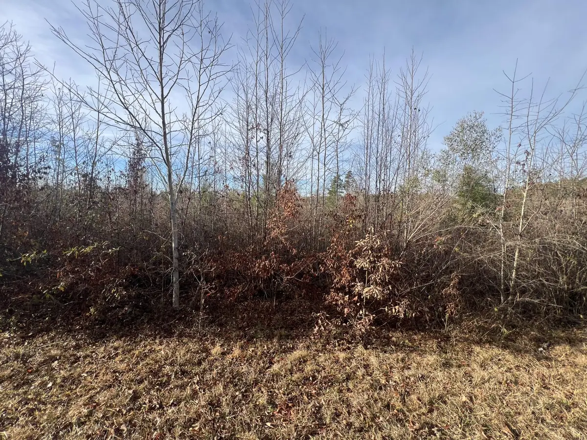 LOT4 Hephzibah Church Road, Lincolnton, GA 30817 - Image #1