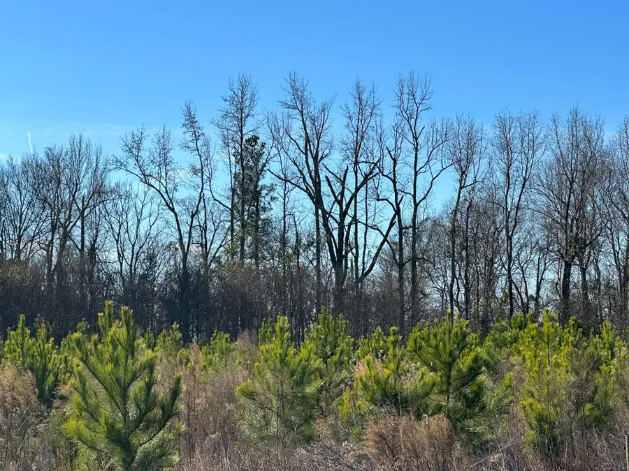 LOT 6 Triangle Road, Louisville, GA 30434 - Image #3