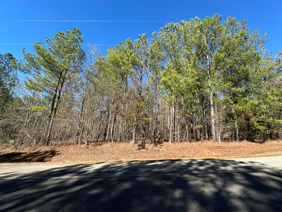 L31 Willow Way, Lincolnton, GA 30817 - Image #2