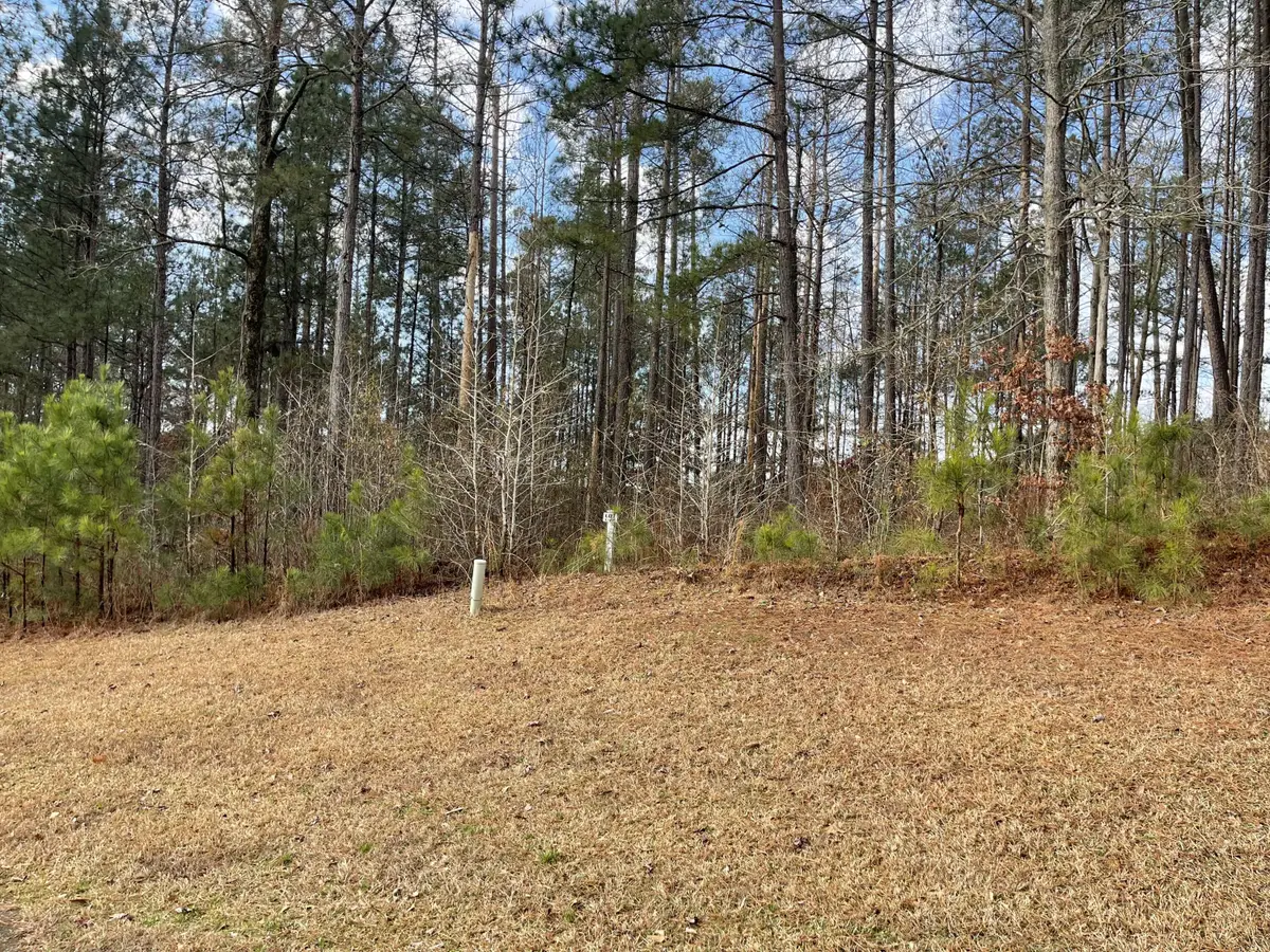 Lot L-22 Militia Loop, North Augusta, SC 29860 - Image #1