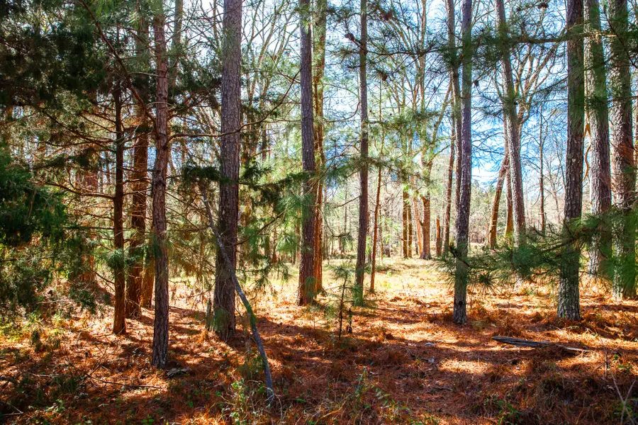 LOT 7 Mistletoe Rd, Appling, GA 30802 - Image #2