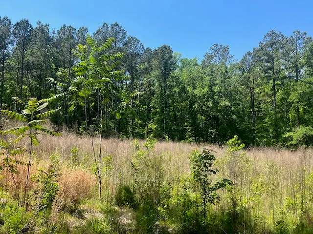 0000 Dooly Springs, Lincolnton, GA 30817 - Image #3