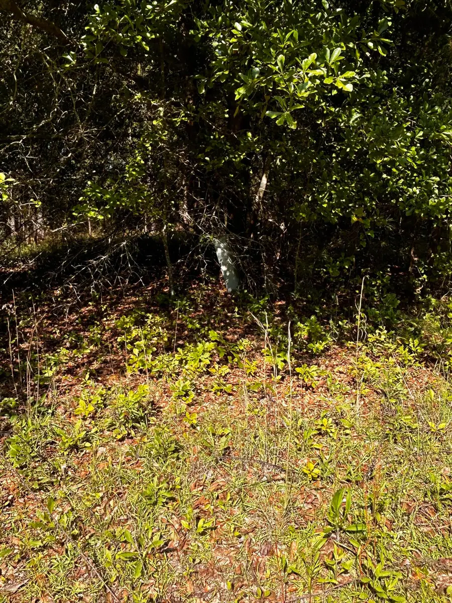 80 Ga-80, Wrens, GA 30833 - Image #3